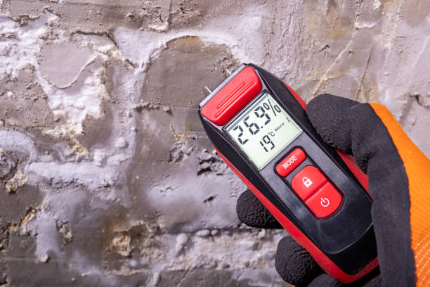 Best Mold Damage Repair  in Coronado, CA